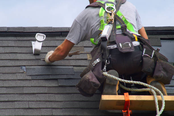 Best Metal Roofing Contractor  in Park City, IL